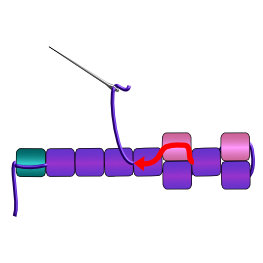 Odd count peyote stitch instructions